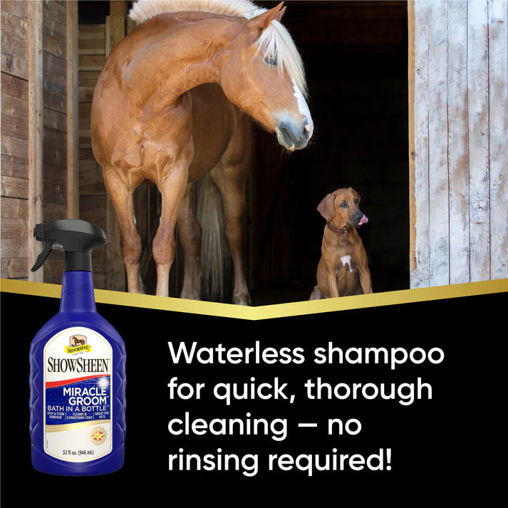 Horse and dog in a stable with ShowSheen waterless shampoo bottle displayed.
