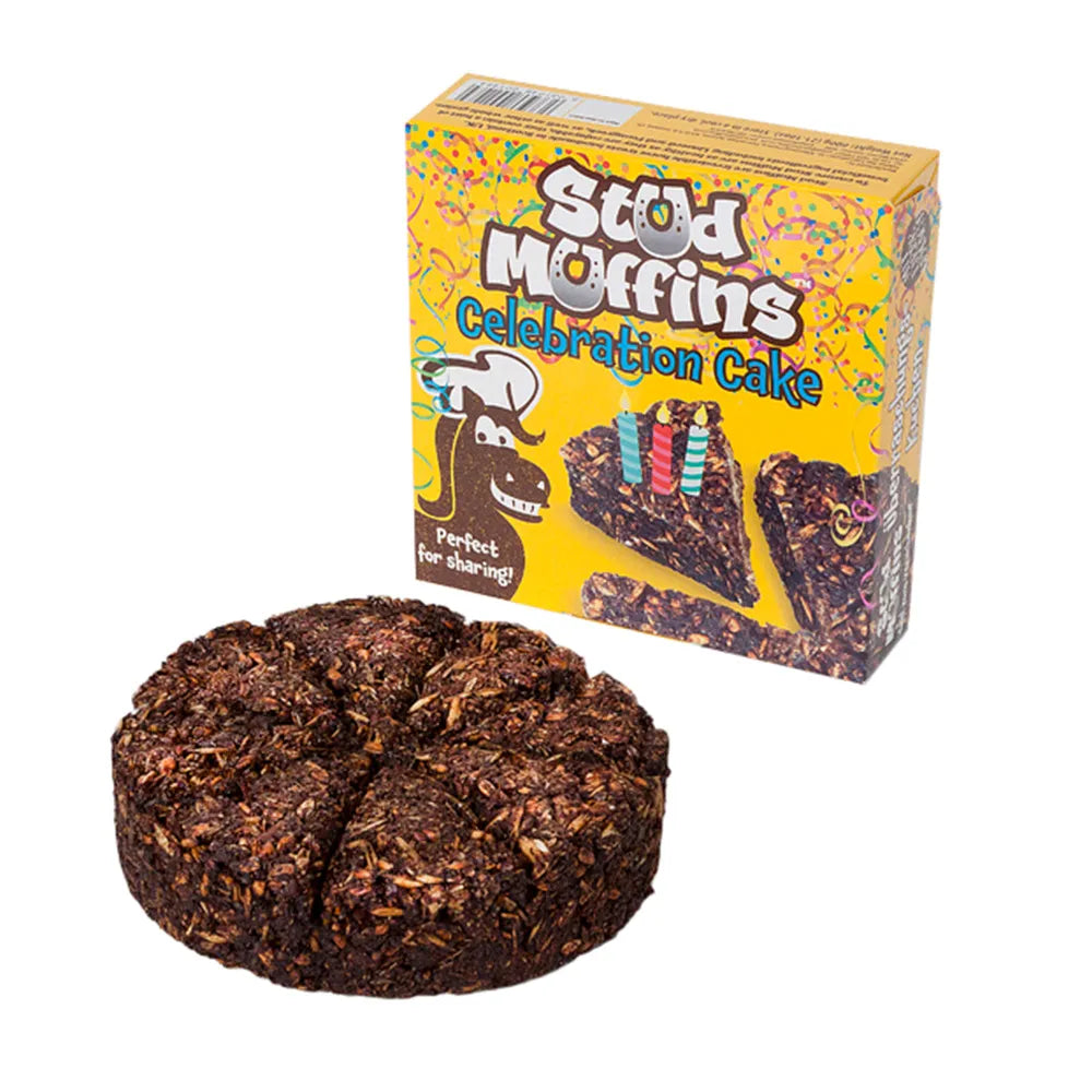 Stud Muffins Celebration Cake for horses with packaging on a white background