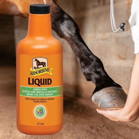 Absorbine Liquid Embrocation bottle with a horse's leg in the background