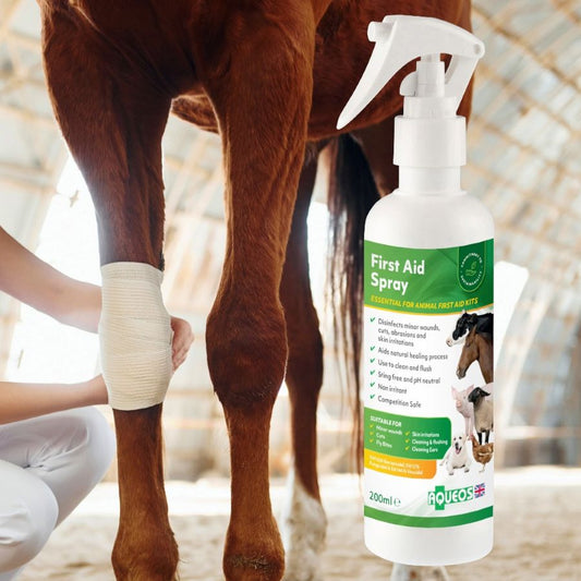 Aqueos First aid spray bottle for animals next to a horse's leg with bandage