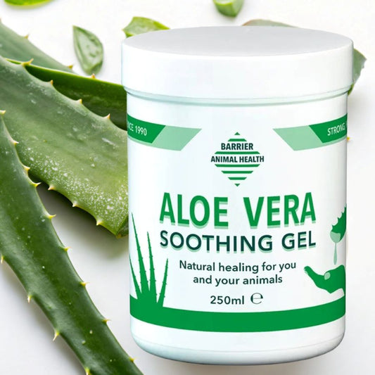 Barrier Aloe vera soothing gel for horses container with aloe leaves on a white background