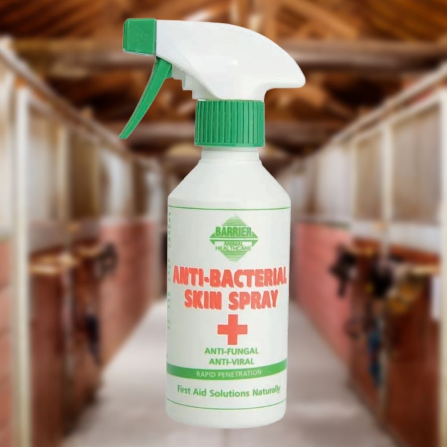 Barrier Anti-bacterial skin spray for horses bottle with a green and white label in a barn setting