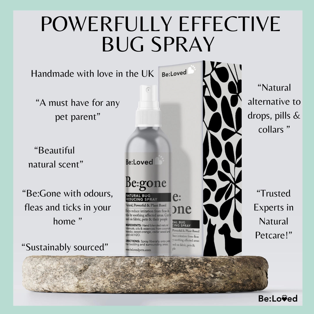 Be:Loved bug spray bottle and packaging on a light green background with text about the product.