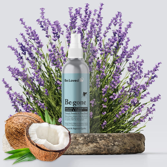 Bottle of 'Begone' natural fly spray surrounded by lavender flowers, coconuts, and a wooden log on a light background.