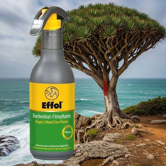 Effol film plaster for horses bottle with a scenic background of a Dragon tree and ocean.