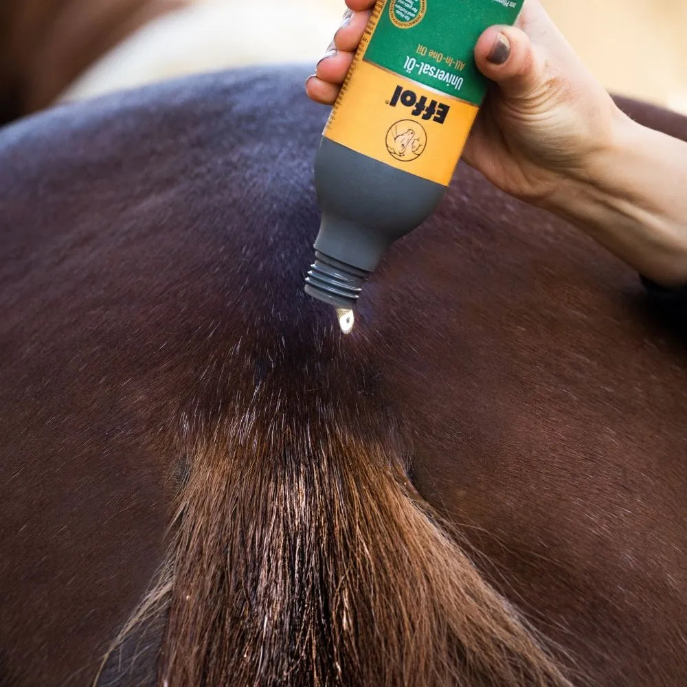 Person applying Effol all in one universal oil to a horse's tail.