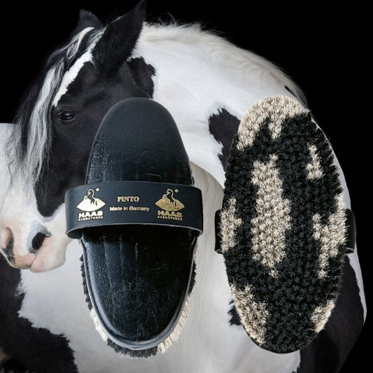 Haas Pinto Grooming brush for horses with a coloured horse in the background
