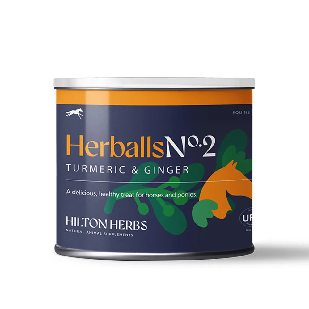 Canister of Herball No.2 Turmeric & Ginger for horses and ponies by Hilton Herbs on a white background