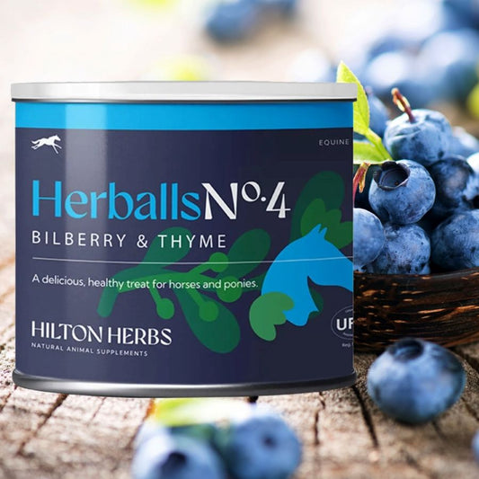 Hilton Herbals No.4 Bilberry & Thyme horse treats can with bilberries in the background