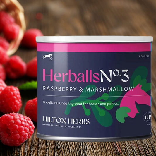 Hilton Herbs Herballs No.3 Raspberry & Marshmallow horse treat can with raspberries on a wooden background