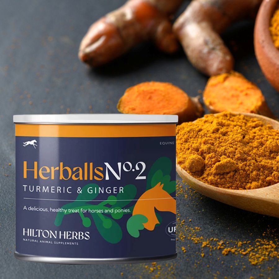 Hilton Herbs Herballs No.2 Turmeric & Ginger horse treats can with turmeric powder and roots on a dark background