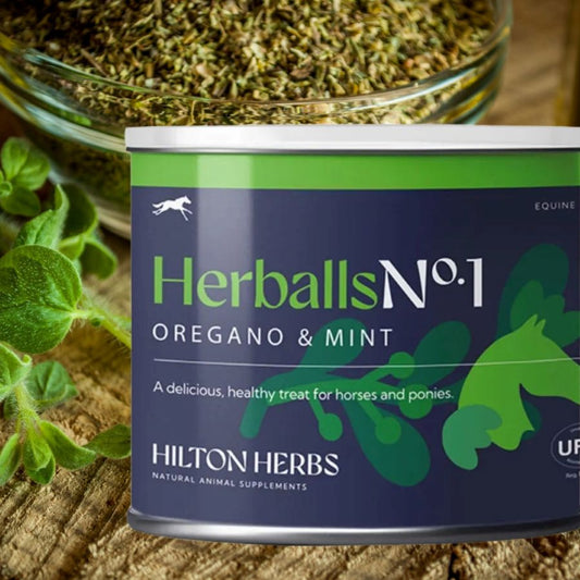 Hilton Herbs Herballs No. 1 Oregano & Mint horse treat can on a wooden surface with oregano leaves.