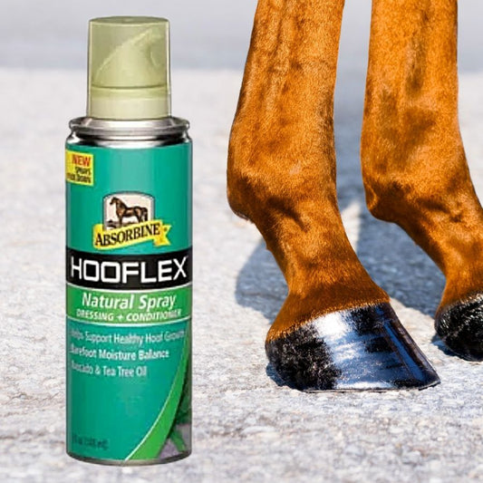 Absorbine Hooflex spray can next to a horse's hoof on a light background