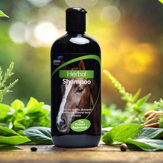 A bottle of Lillidale Herbal Horse Shampoo on a wooden table top with herbal leaves surrounding the bottle