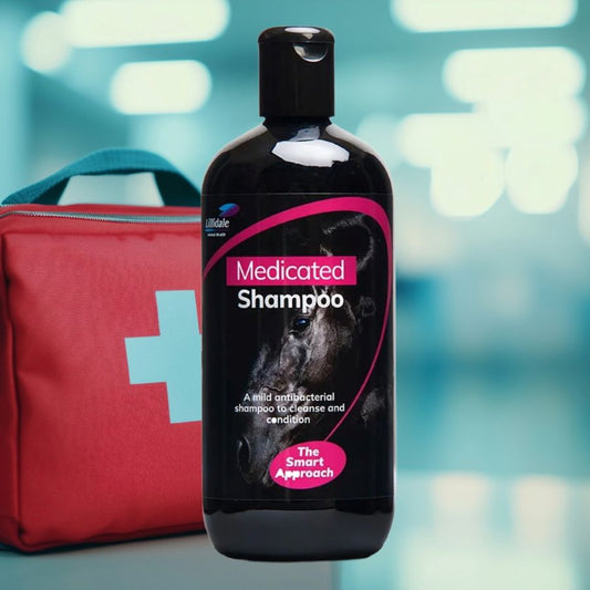 Bottle of Lillidale medicated horse shampoo with a red first aid bag in the background