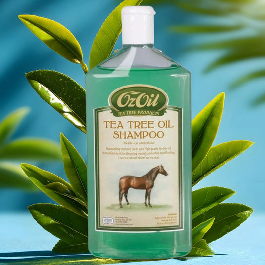 OzOil Tea Tree Oil Shampoo bottle with horse illustration on a leafy background