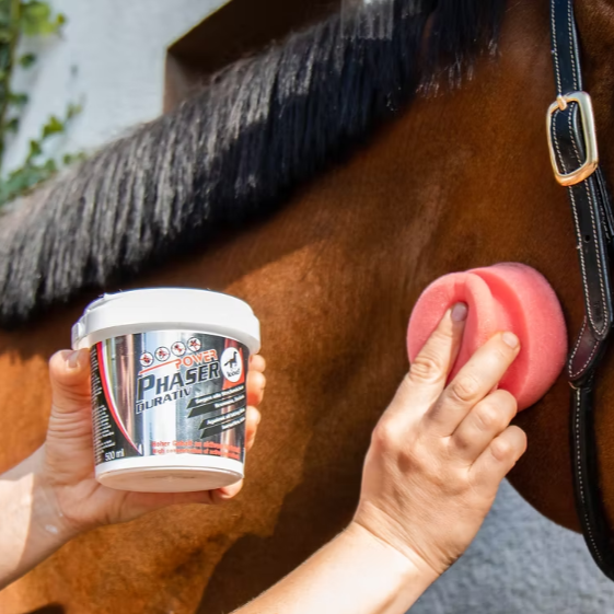Person holding a container of Power Phaser Gel fly repellent for horses and a pink sponge near a horse.