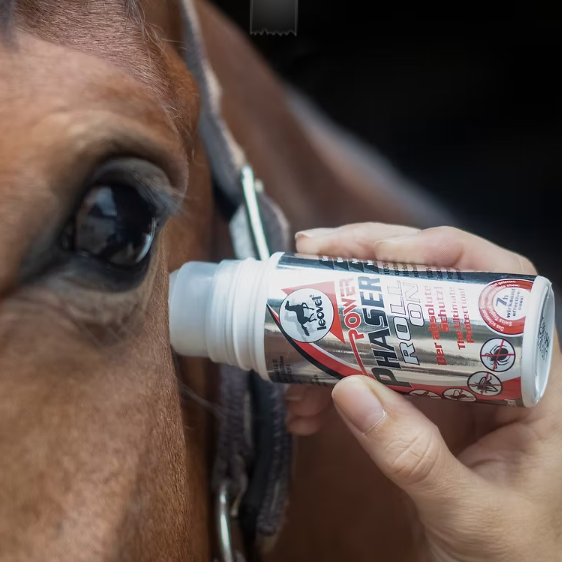 Person holding a tube of Power Phaser Roll On fly repellent near a horse's face