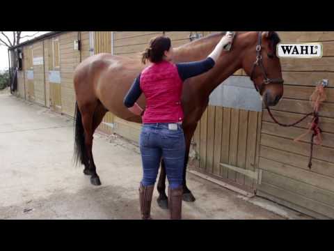 Demonstration video on how to use the Wahl Soft Bristle Horse Grooming Brush