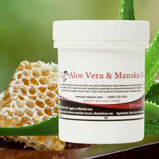 Jar of Pro-Equine Aloe Vera and Manuka Gel with honeycomb and aloe vera leaves on a green background