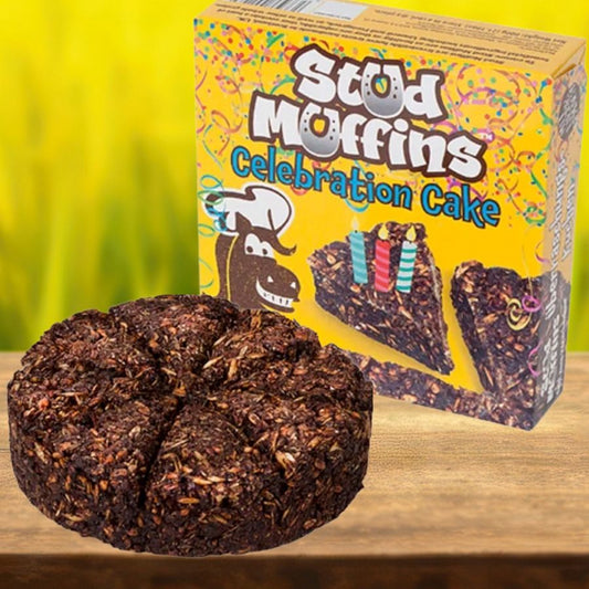Stud Muffins Celebration Cake for horses on a wooden surface with a colorful box in the background.