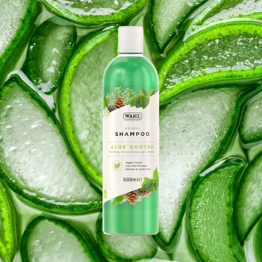 A bottle of Wahl Aloe Soothe Animal Shampoo on a background image of sliced Aloe Vera sections, the theme colour is green